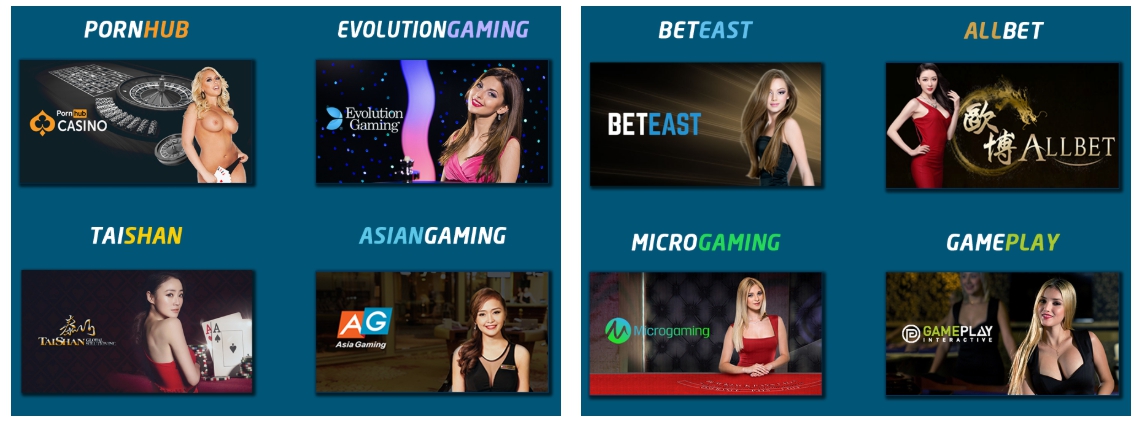 유로247 에볼루션 카지노 후기 이미지